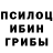 Галлюциногенные грибы Psilocybe TheTop xD