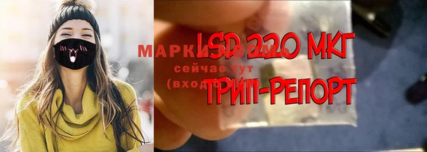 ПСИЛОЦИБИНОВЫЕ ГРИБЫ Армянск