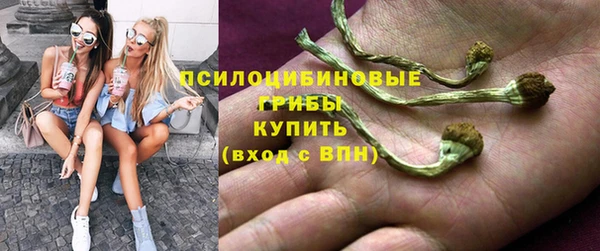 ПСИЛОЦИБИНОВЫЕ ГРИБЫ Армянск