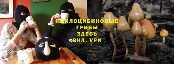 ПСИЛОЦИБИНОВЫЕ ГРИБЫ Армянск