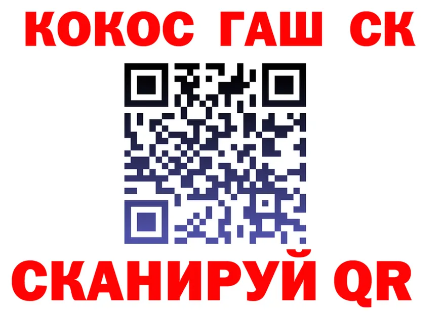 Альфа ПВП Соль вход площадка блэк спрут Стрежевой
