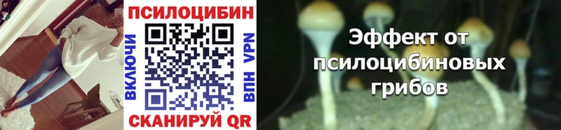 купить наркотик  Стрежевой  Псилоцибиновые грибы Psilocybe 